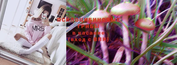 ПСИЛОЦИБИНОВЫЕ ГРИБЫ Абинск